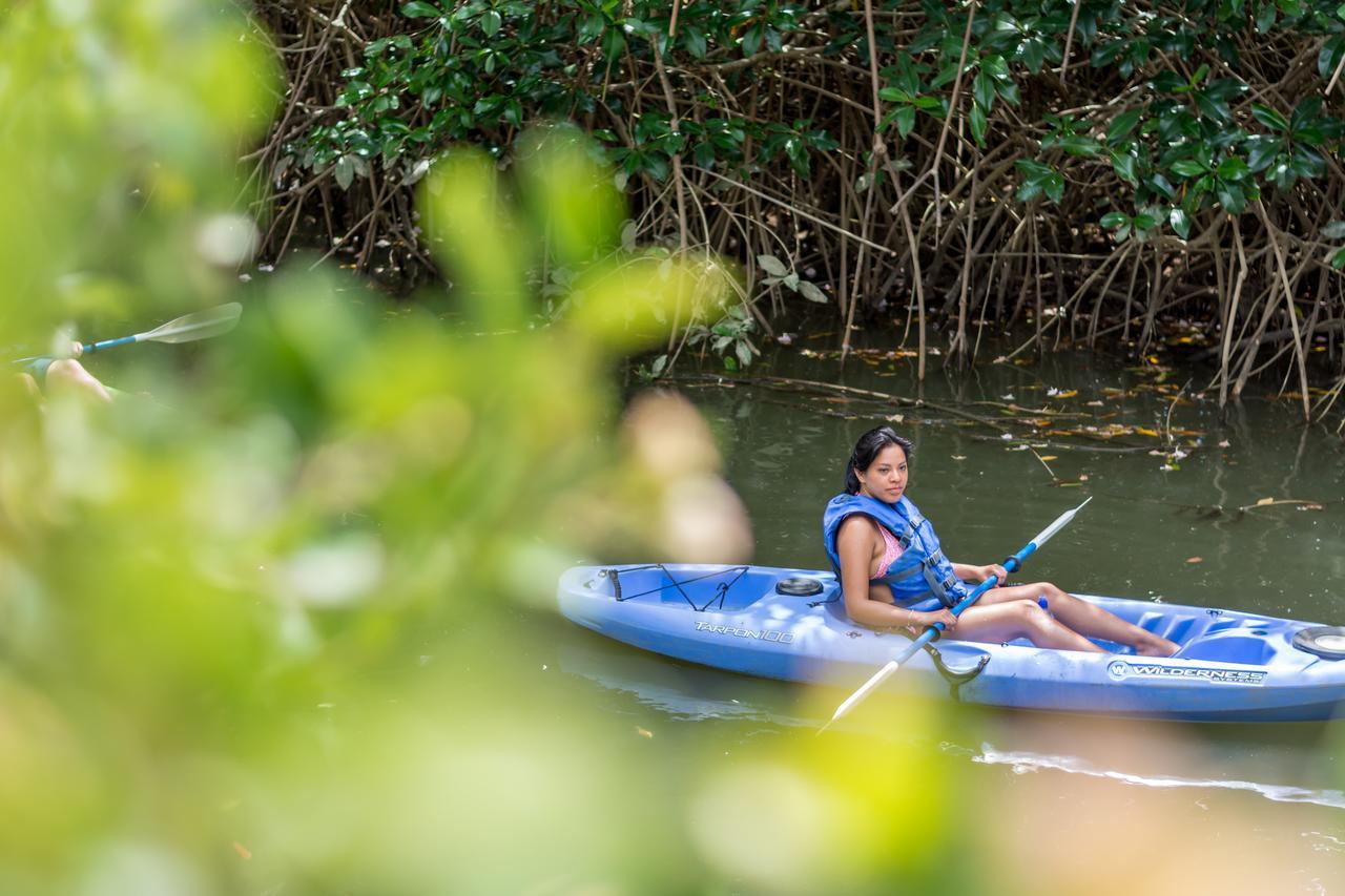 Kayak Lodge Damas Екстериор снимка