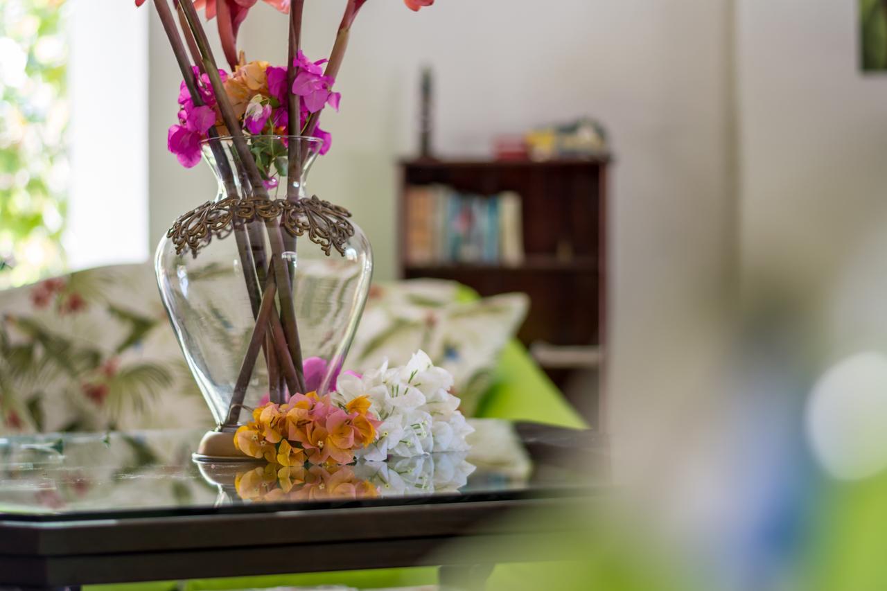 Kayak Lodge Damas Екстериор снимка